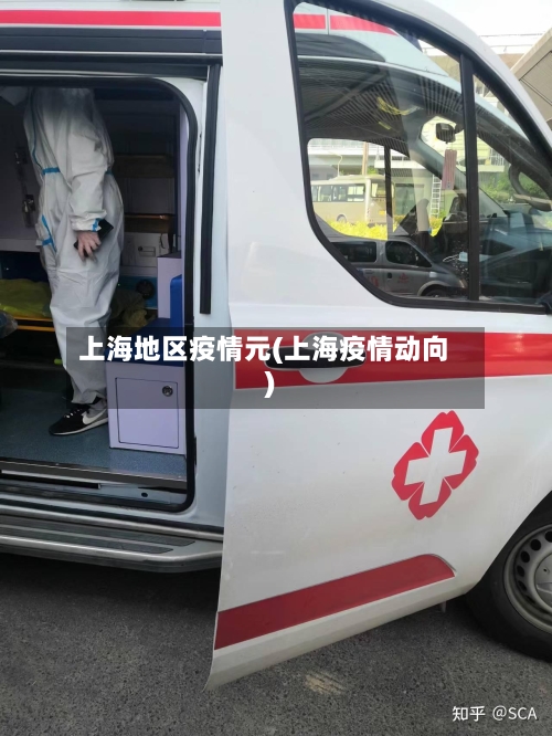上海地区疫情元(上海疫情动向)
