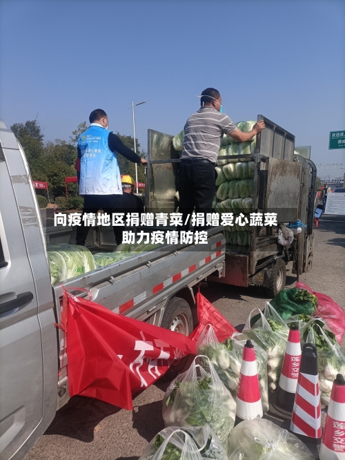 向疫情地区捐赠青菜/捐赠爱心蔬菜助力疫情防控-第2张图片