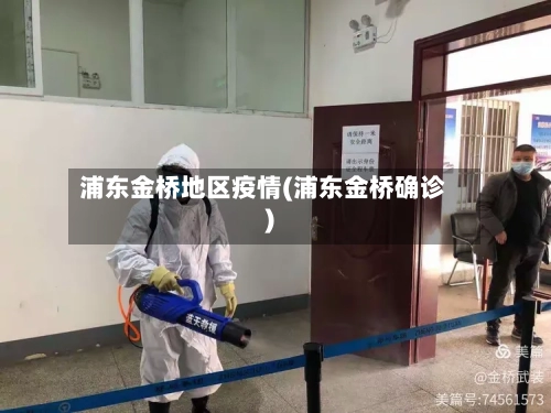 浦东金桥地区疫情(浦东金桥确诊)-第2张图片