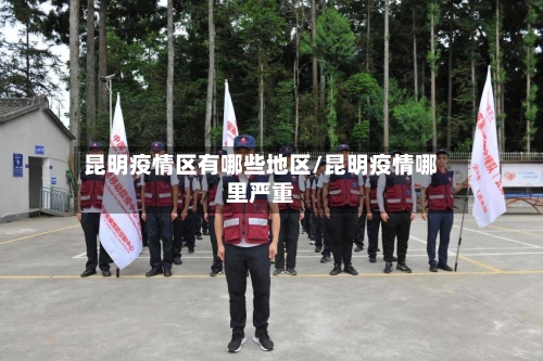 昆明疫情区有哪些地区/昆明疫情哪里严重-第2张图片