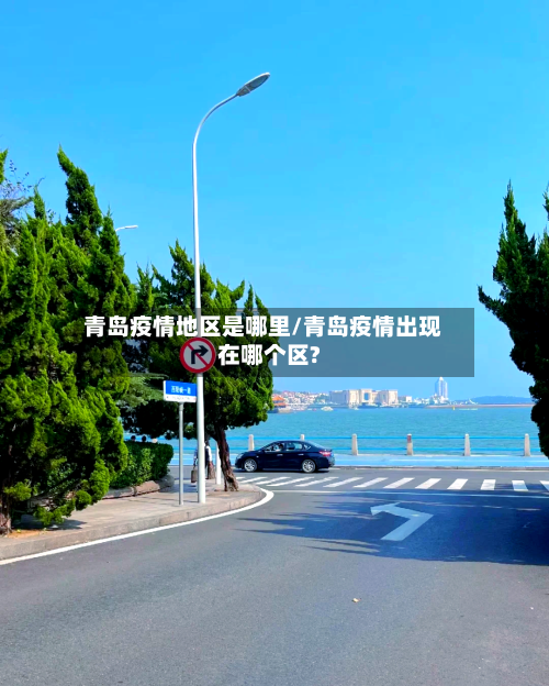 青岛疫情地区是哪里/青岛疫情出现在哪个区?-第2张图片