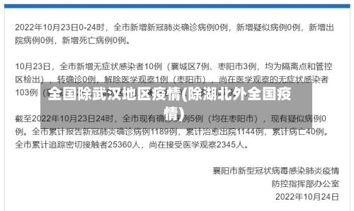 全国除武汉地区疫情(除湖北外全国疫情)