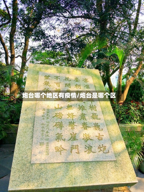 炮台哪个地区有疫情/炮台是哪个区