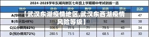 【武汉东湖疫情地区,武汉东西湖疫情风险等级】