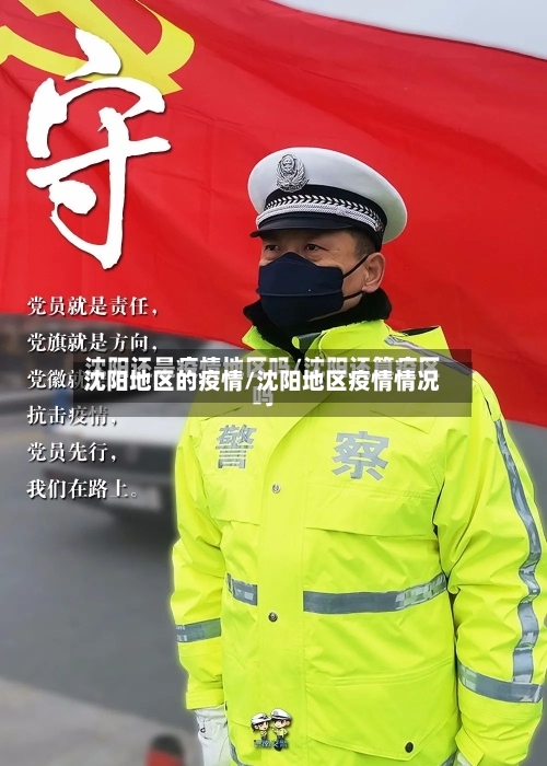 沈阳地区的疫情/沈阳地区疫情情况-第3张图片