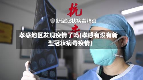 孝感地区发现疫情了吗(孝感有没有新型冠状病毒疫情)-第3张图片