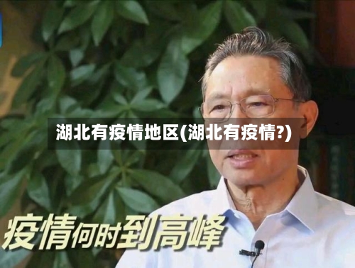 湖北有疫情地区(湖北有疫情?)
