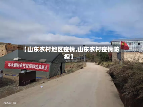【山东农村地区疫情,山东农村疫情防控】